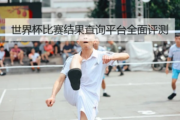 世界杯比赛结果查询平台全面评测