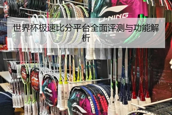 世界杯极速比分平台全面评测与功能解析