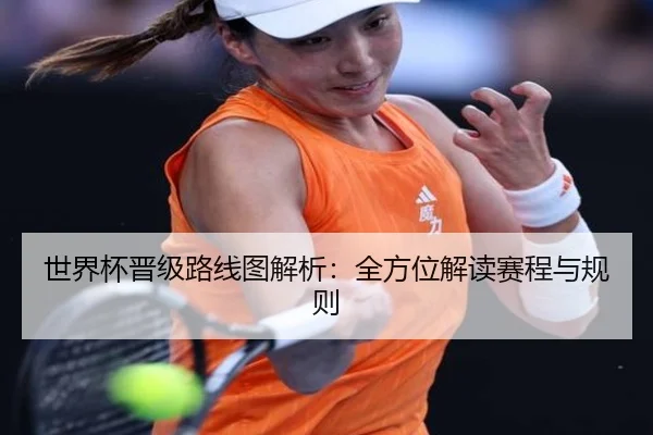 世界杯晋级路线图解析：全方位解读赛程与规则