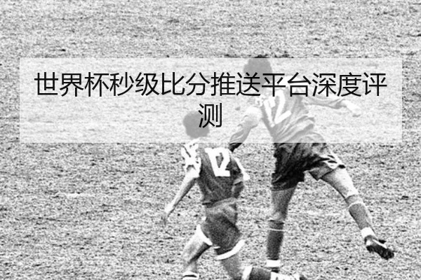 世界杯秒级比分推送平台深度评测