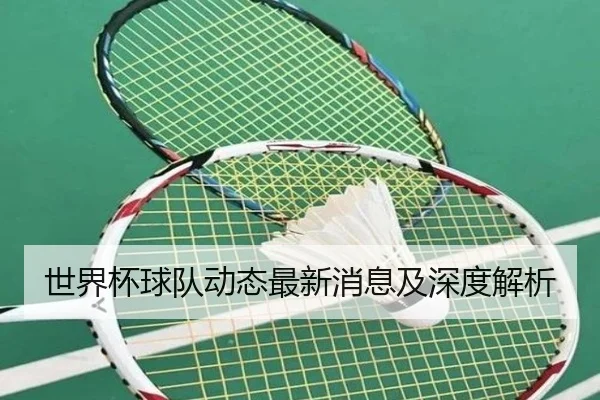 世界杯球队动态最新消息及深度解析