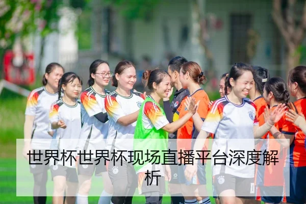 世界杯世界杯现场直播平台深度解析